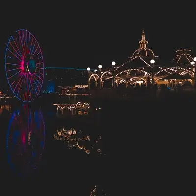 Disneyland Holidays & Vacations